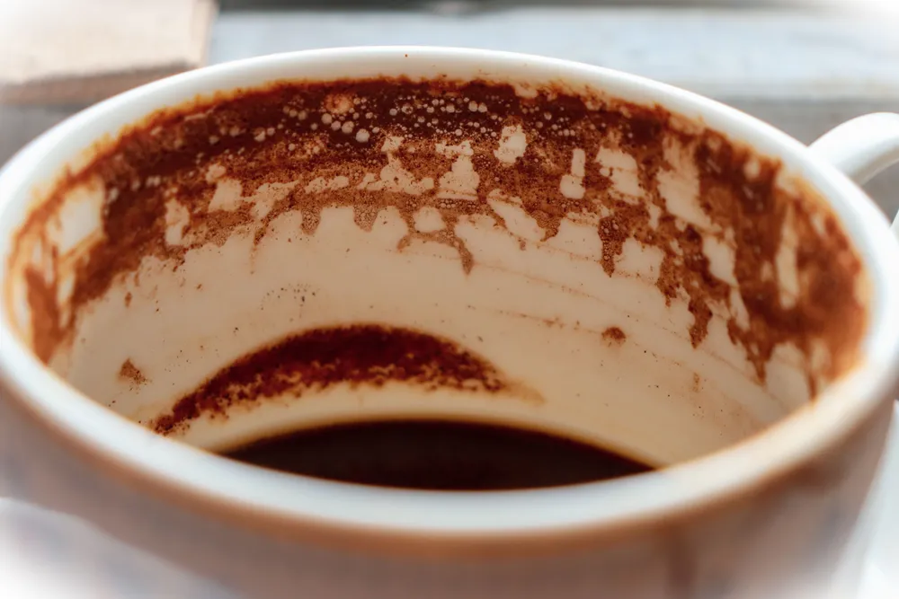 Close-up do interior de uma xícara de café, com a borra formando padrões nas paredes internas